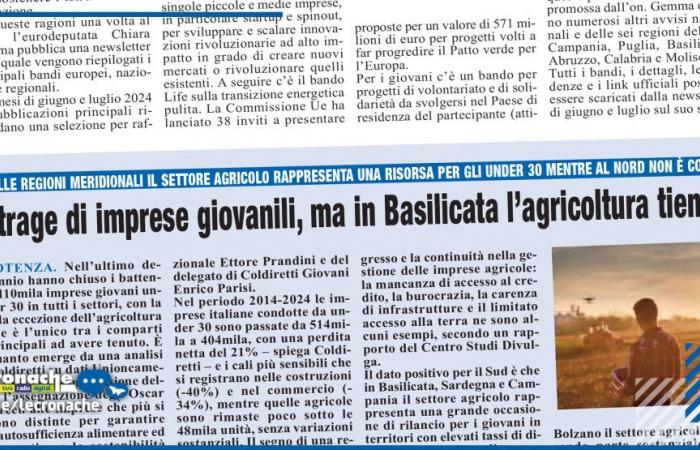 MASSACRE OF YOUTH ENTERPRISES, BUT IN BASILICATA AGRICULTURE HOLDS UP
