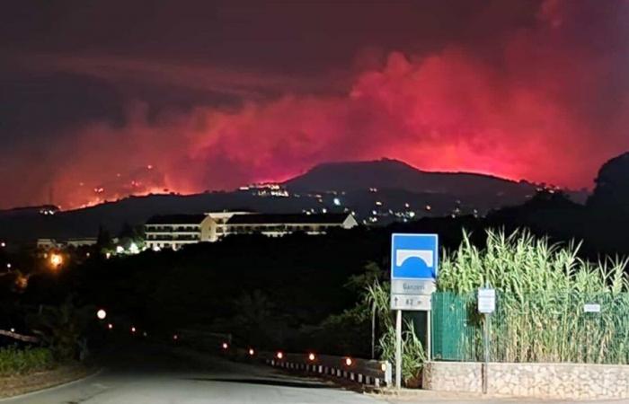 Fires, in 2023 in Messina 23 square kilometers of wooded areas went up in smoke