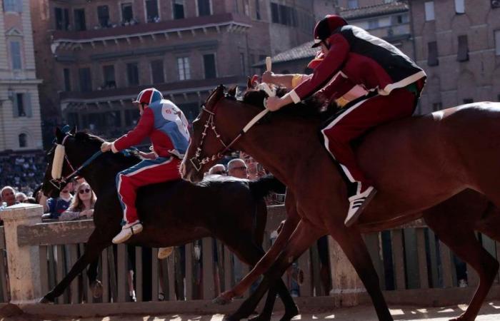 Fourth test of the Palio, Nicchio wins but Bellocchio (Pantera) starts off strong
