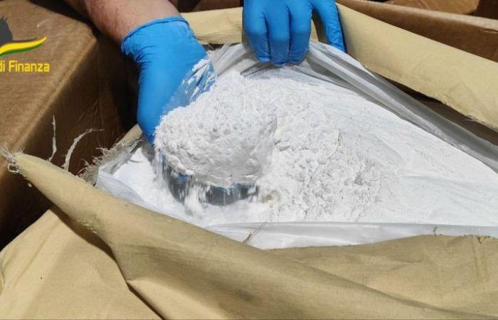 Malpensa, 6 tons of “ingredients” for ecstasy seized