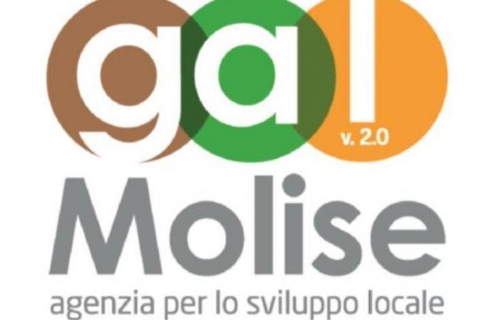 Campobasso: Internet of things and digital plans: the Molise-Croatia synergy is growing