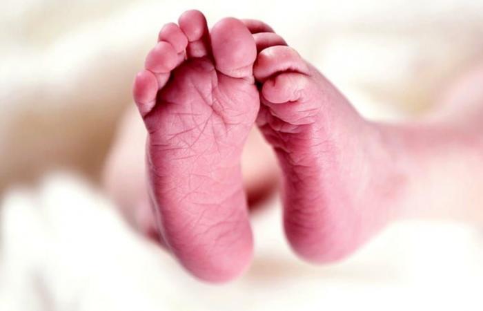 How to receive the Liguria Region baby kit for newborns and what it contains
