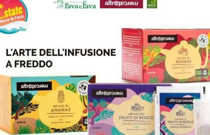 Cold infusions in the Rava and Fava stores in Asti