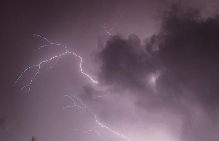 Weather alert, yellow code for strong storms in some municipalities of the Florentine area