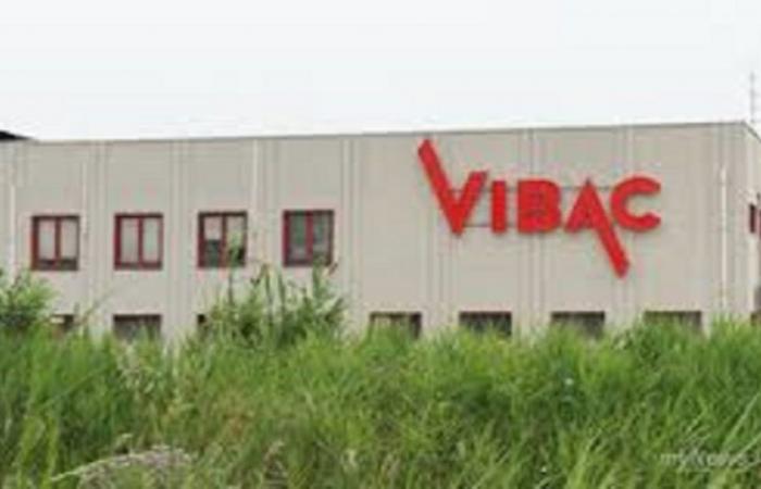 Vibac, another 6 months of CIGS, layoffs blocked for now