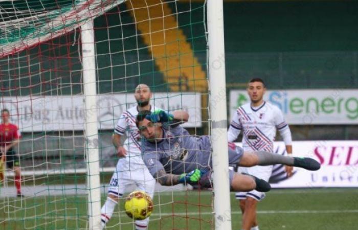 Avellino, Marson again for the role of deputy between the posts: curiosity