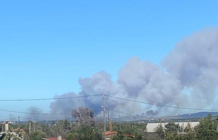 Greek firefighters battle devastating fires in Athens area – Euractiv Italia