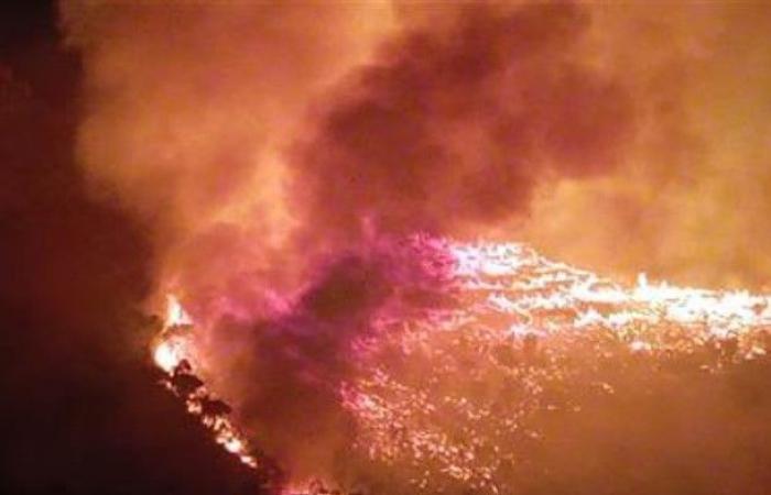 Fires in 2023, 83 percent of the fires in Sicily and Calabria
