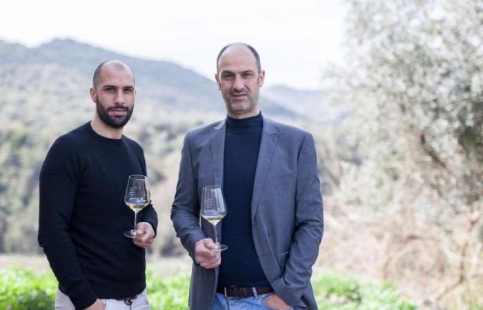 Santa Venere, wine-making Calabria between organic and experimentation