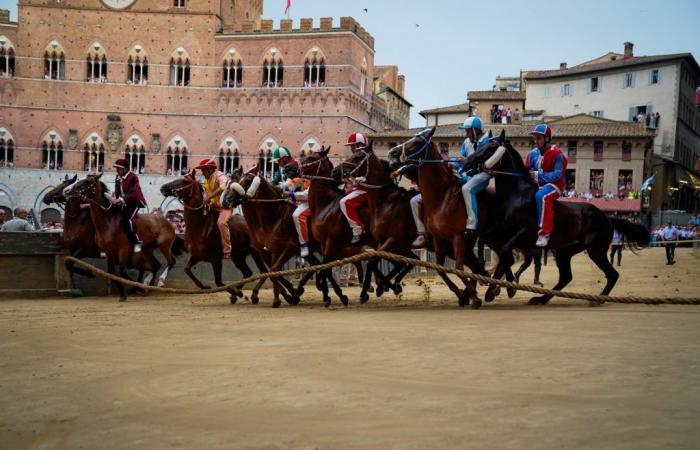Palio 2 July, Nicchio wins the General Proof