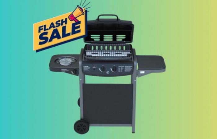 Gas barbecue with SIDE STOVE in EXCLUSIVE PROMO on eBay
