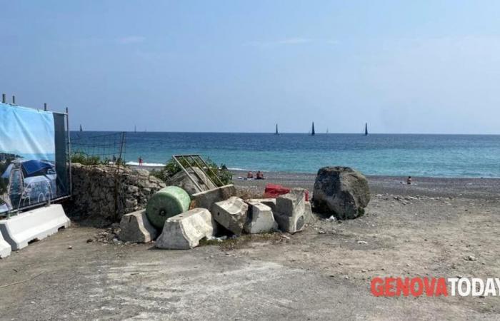 Polluted sea in Liguria, the results of Legambiente’s tests