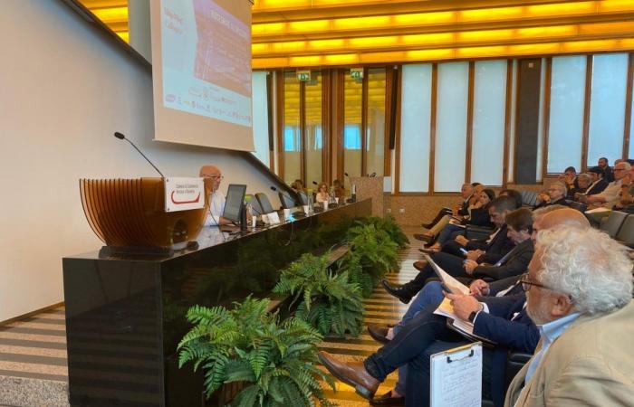 ShipMag Colloquia, a billion investments to change the port of Ravenna