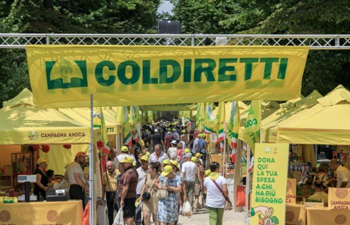 220,000 visitors at the Coldiretti Village in Venice