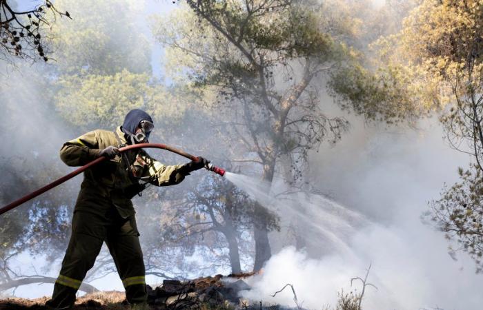 Greek firefighters battle ‘dangerous’ forest fires over weekend