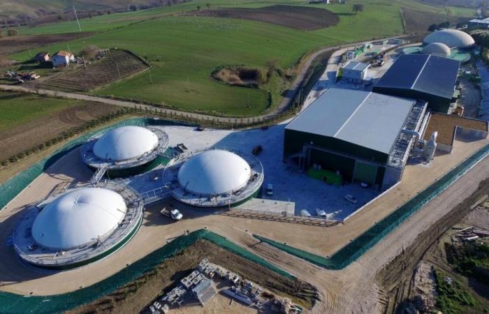 Mola di Bari, Mayor Colonna Says No to Biogas Plant: “Negative Opinion on the Project”