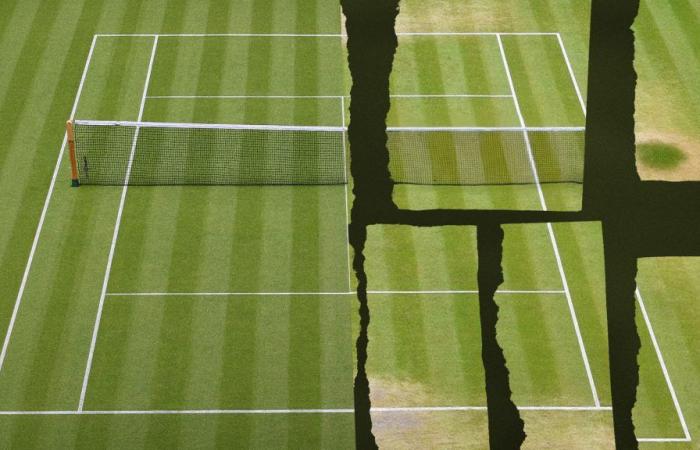 Is the grass at Wimbledon still the greenest?