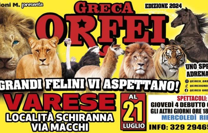 Circo Greca Orfei in Varese 2024