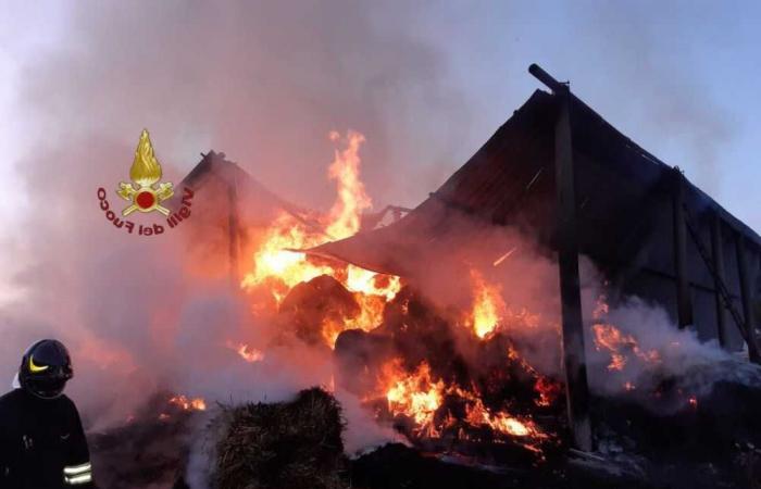 Fire Brigade Teams Respond to Fire in Tolfa