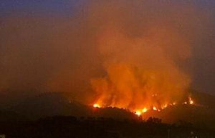 Palermo epicenter of forest fires in Italy in 2023