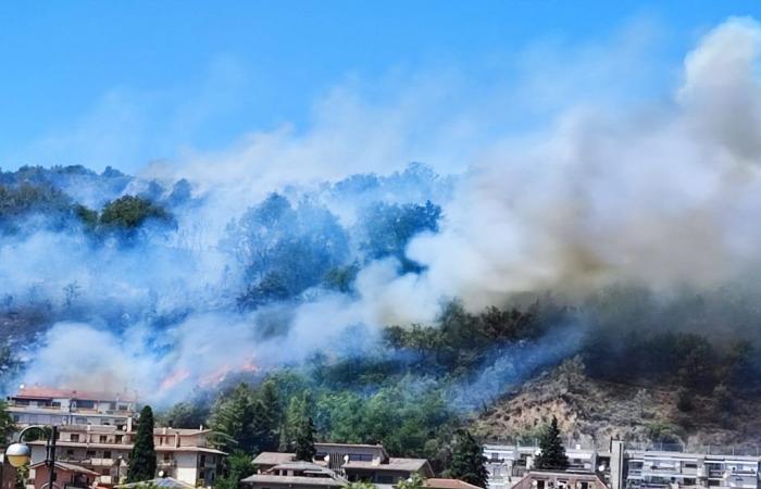 Fire in Montorio, some homes evacuated VIDEO – News