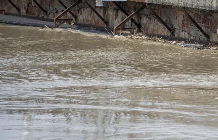Flood, Tuscany Region opens reporting portal Italpress Press Agency