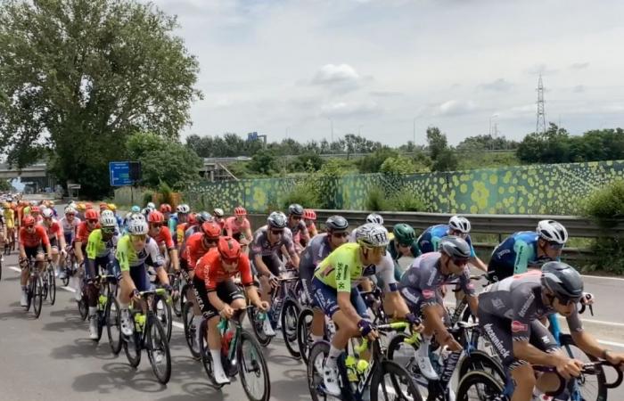 Enthusiasm and Participation of the Alexandrians at the Passage of the Tour de France