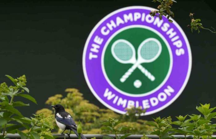 Wimbledon, official farewell and sudden drama: the news shakes the fans