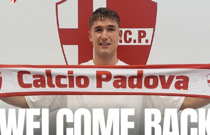 OFFICIAL Padova, everything confirmed: here is the goalkeeper Voltan