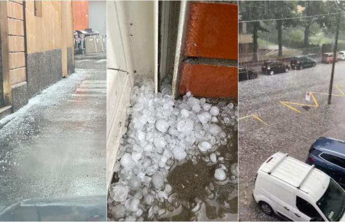 Hail today in Bologna, fallen trees and fear: bad weather has arrived