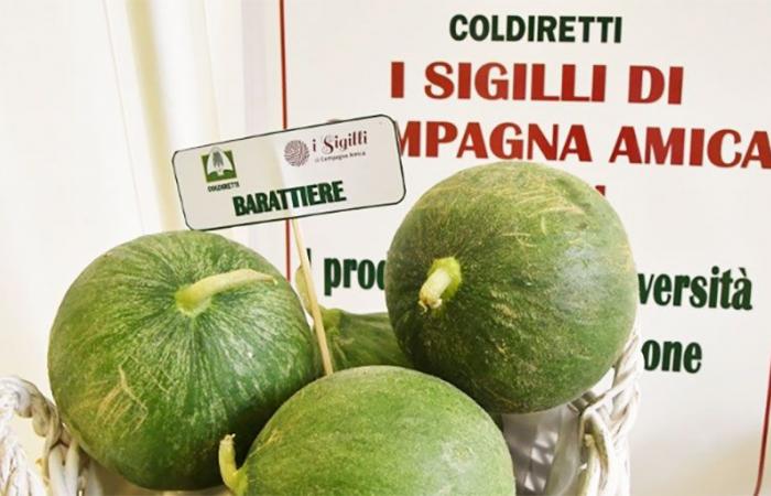 Coldiretti Puglia: “More and more Italians are asking for biodiverse menus”