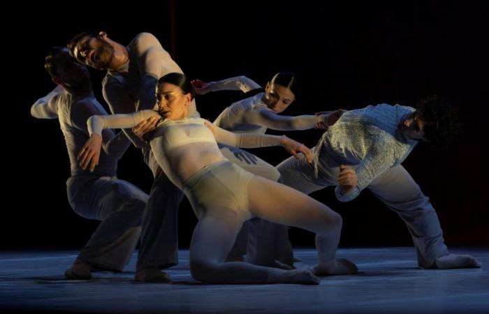 New governance at Balletto di Toscana – Dance&Dance
