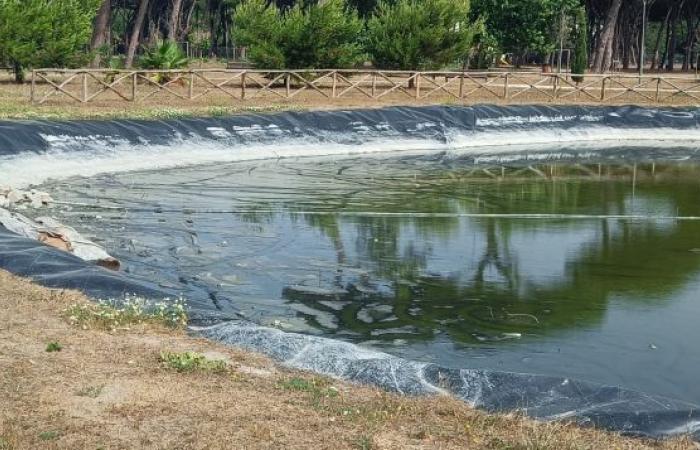 Villa Guglielmi’s lake is drying up, the alarm raised by citizens