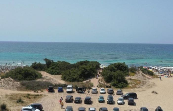 Parking for the sea, summer in Puglia begins in chaos: municipalities looking for solutions