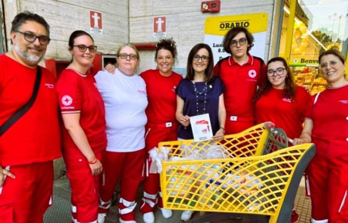 “Fill the cart with solidarity” in Caltanissetta: 6 tons of food collected |