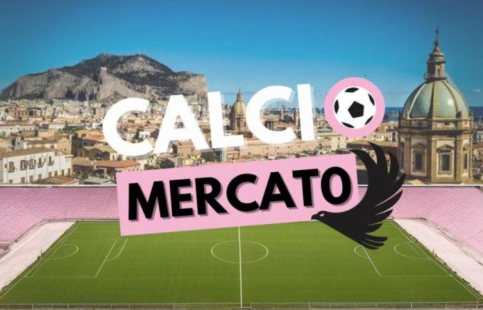 Palermo Transfer Market: Official Start Today!