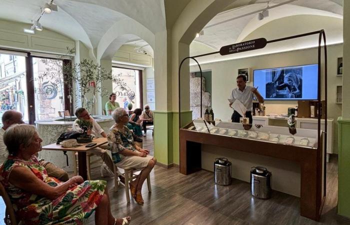 Costa d’Oro temporary shop opens – La Voce del Territorio Umbria