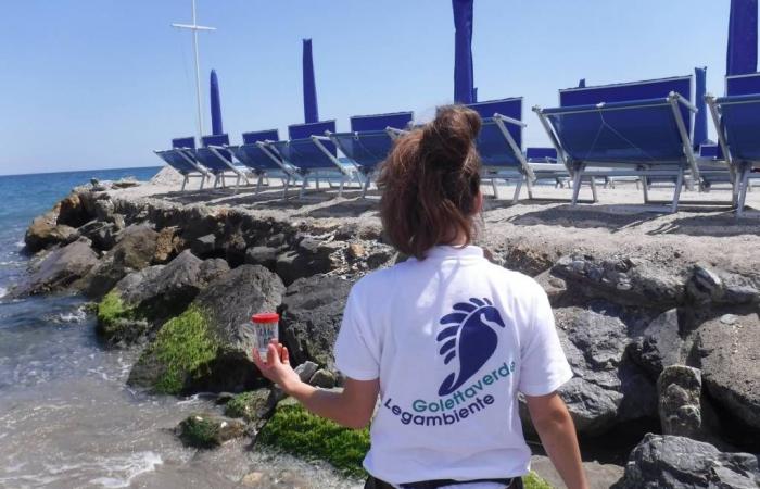 “In Liguria, 50% of samples are polluted by the sea”, Goletta Verde warns