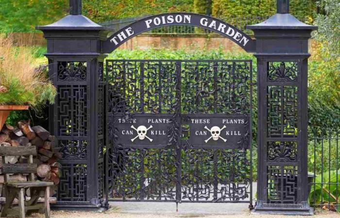 The most dangerous botanical garden in the world: here every plant can be lethal