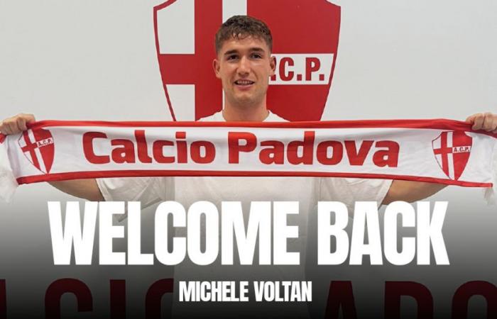 Michele Voltan is a player of Calcio Padova