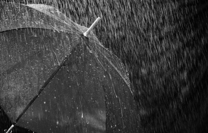 Yellow weather alert for heavy rain and storms throughout FVG: flooding and falling trees