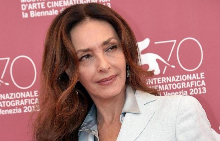 Maria Rosaria Omaggio, actress and writer, has died: she was 67 years old