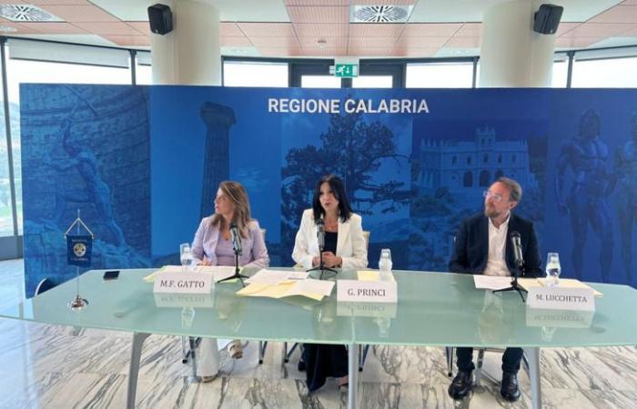 Princi “Six million for post-graduate master’s degrees for young Calabrians”
