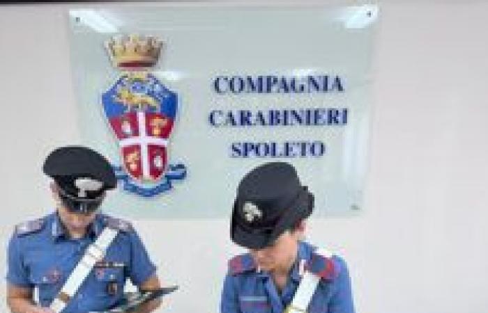 Spoleto, after accident he flees: in the car he had 12 gr. of cocaine