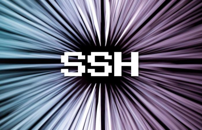 New OpenSSH Vulnerability