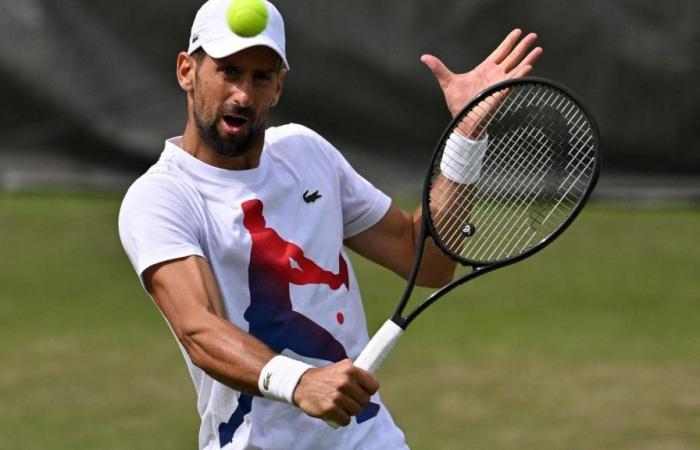 Wimbledon, debut for Djokovic and 5 other Italians: where to watch the matches on TV