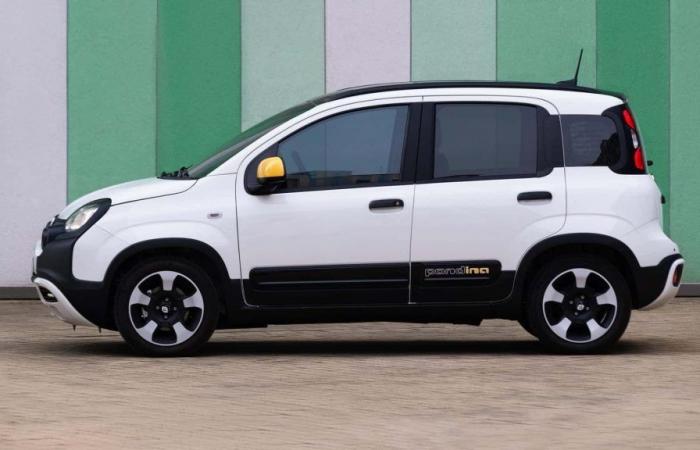 New Fiat Panda and Pandina: available to order from today, here are the prices