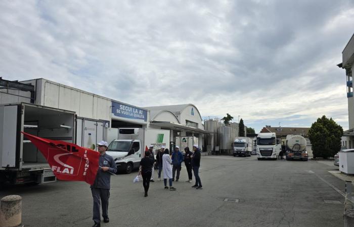 Alessandria Milk Plant Showdown: Thieves Steal Equipment