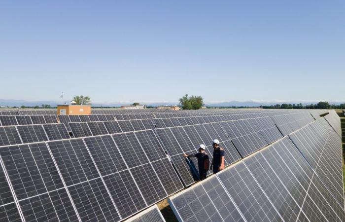 New photovoltaic plants announced in Alessandria