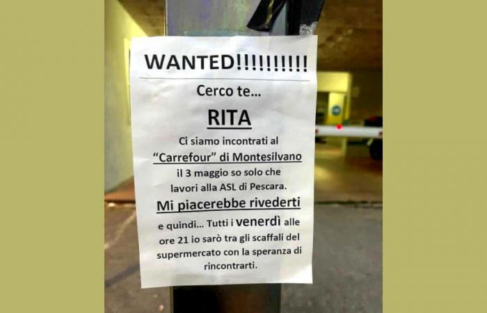 He puts up flyers to find her: “I’m looking for you, Rita”